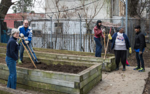 Volunteers working together in a community garden in Southwest Philadelphia.